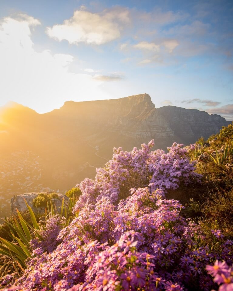 Photo Of Mountain During Dawn