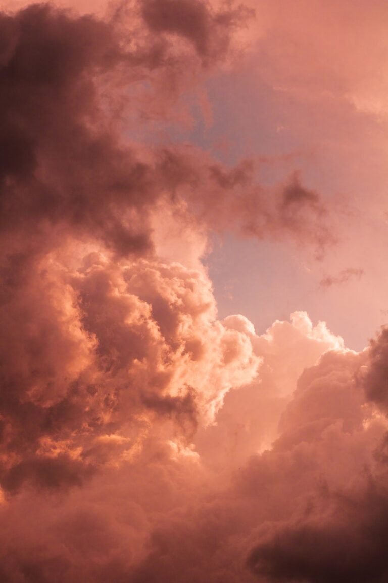 Wonderful pink clouds in sky at sunset