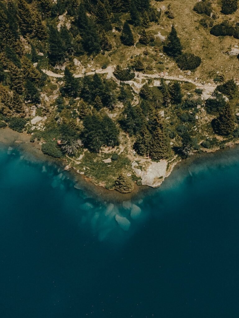 an aerial view of a small island in the middle of a lake