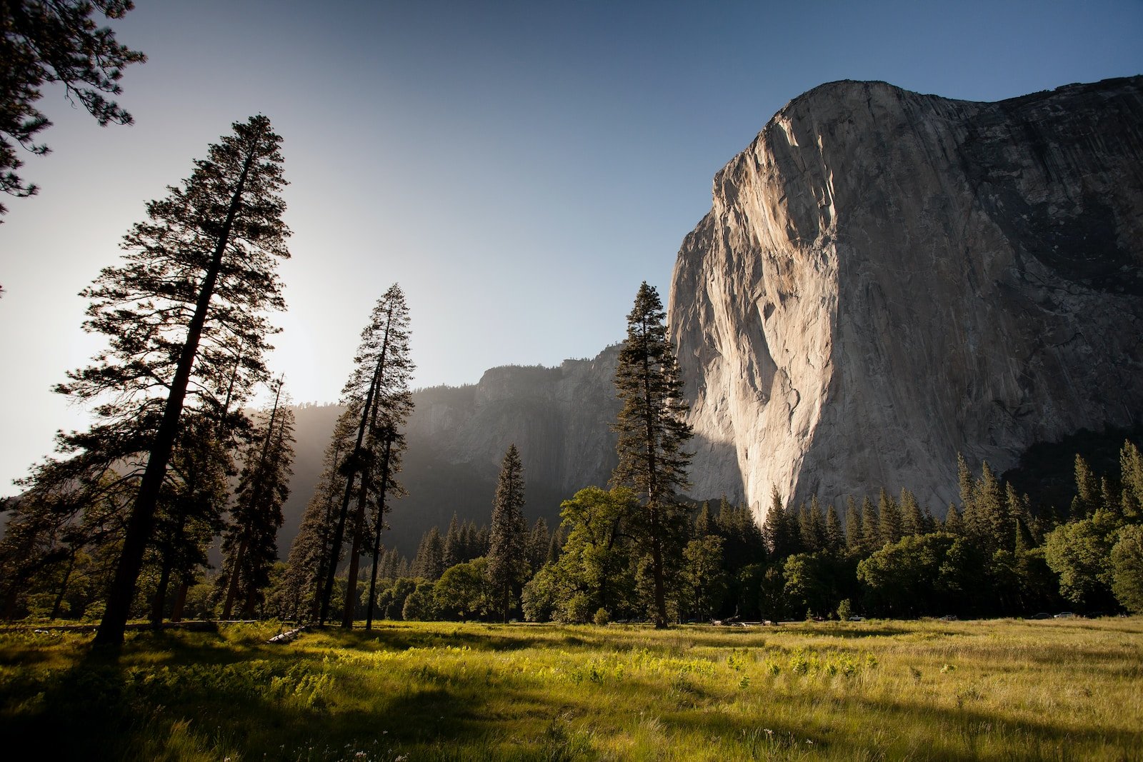 landmark photography of trees near rocky mountain under blue skies daytime