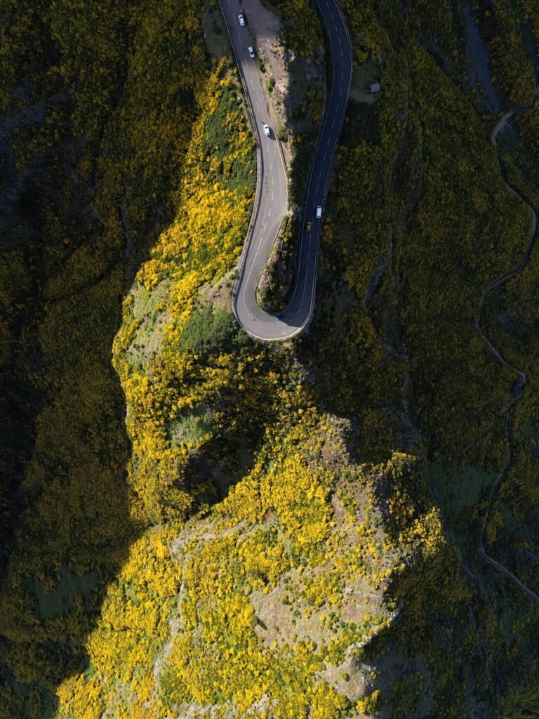 an aerial view of a winding road in the mountains